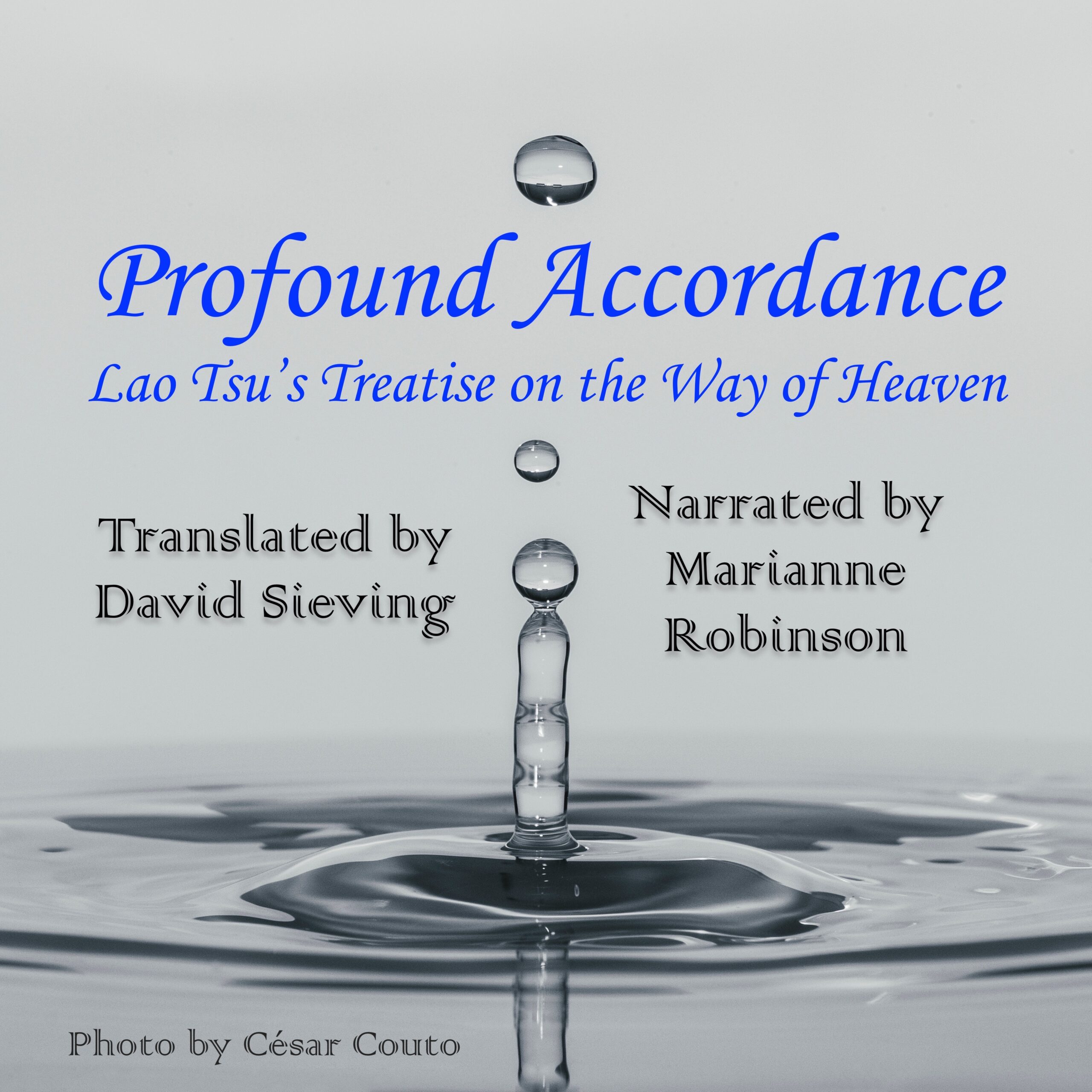 Profound Accordance AudioBook